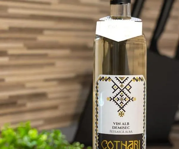 Isaran Lejlighed Braşov